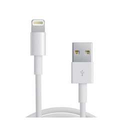 Cable USB2.0 A Male - Lightning iPhone Male (1 meter) White