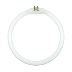 Circular fluorescent lamp T4 12W for lamp with magnifying glass