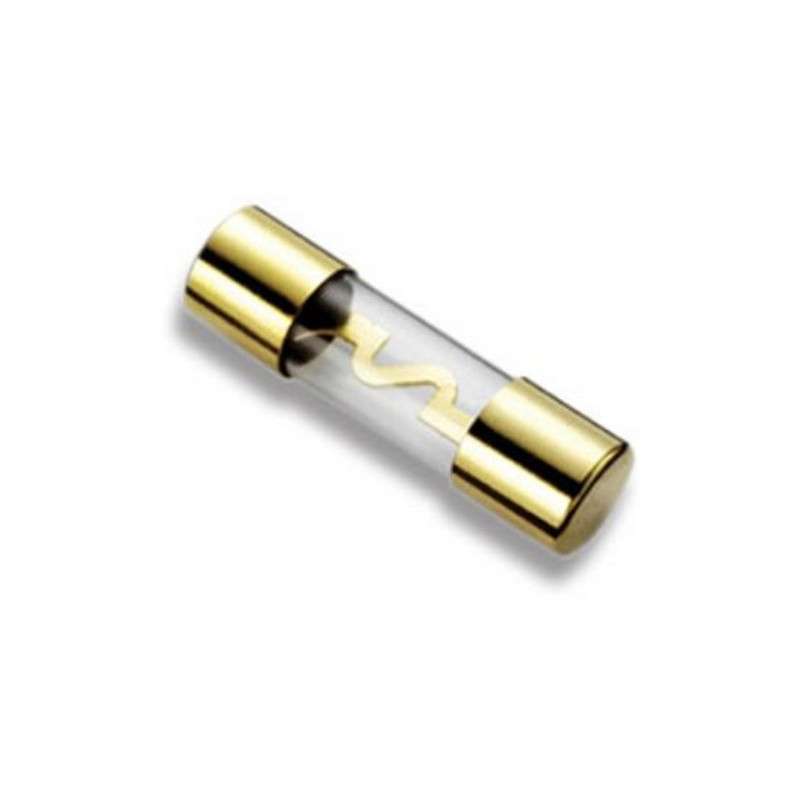 Glass fuse 10x38 40A golden