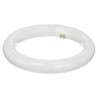 T9 / 22W   Circular fluorescent lamp