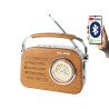 Portable analog FM radio BT BLOW RA3
