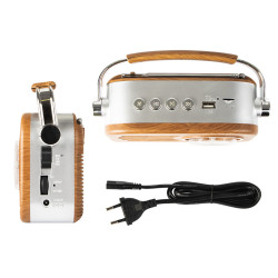 Portable analog FM radio BT BLOW RA3