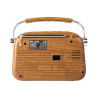 Portable analog FM radio BT BLOW RA3