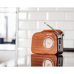 Portable analog FM radio BT BLOW RA3