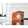 Portable analog FM radio BT BLOW RA3
