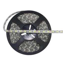 Tira de led 12VDC 4.8W/m (24W) 6400K (blanco frio) 300lm/m - IP20 - 5.