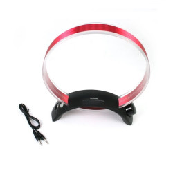 Tecsun AN-200 Antena de loop de onda média