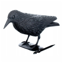 Corvo Espanta-Pássaros Preto