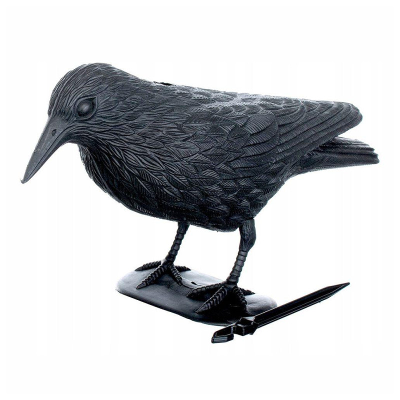 Corvo Espanta-Pássaros Preto
