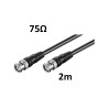 BNC Male Cable - BNC Male 2 mts 75Ω