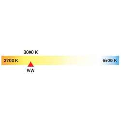 E27 LED 230V 10W 3000K (blanco cálido) 806lm - LED POL-ORO-E27-TOTO-10W-WW