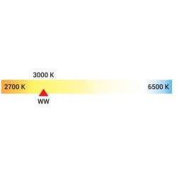 GU10 LED 230V  4W 3000K blanco caliente 281lm