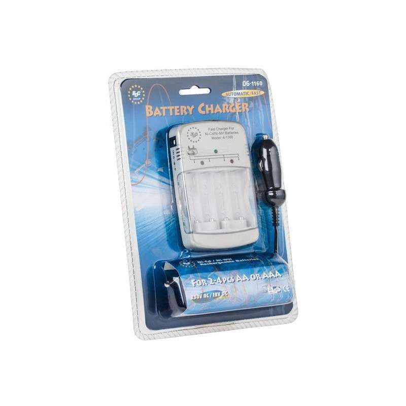 Battery Charger AA / AAA (DC12V / AC220V)