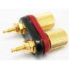 Conector banana hembra doble de panel Dorado