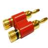 Banana plug male double golden (Red / Black) red plastic