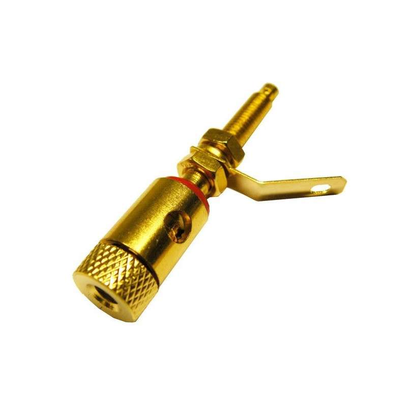 Conector banana hembra chasis metal dorado, rojo 