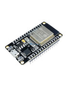 Esp32